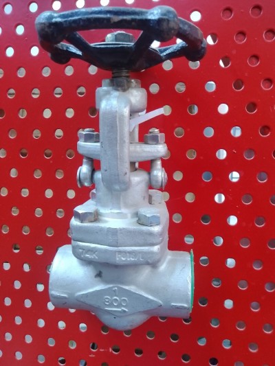 Venne opercule forgée classe 800 inox 304