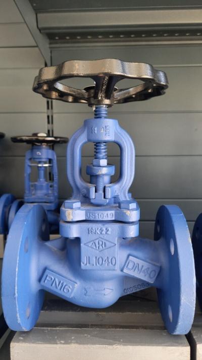 Vanne à soupape vapeur font et inox