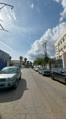 hangar-location-blida-algerie