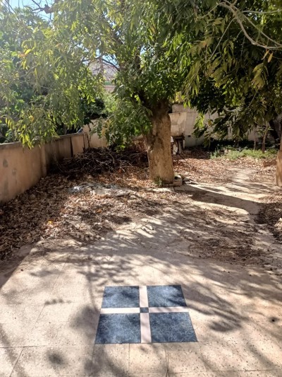 Vente Terrain Alger Birkhadem