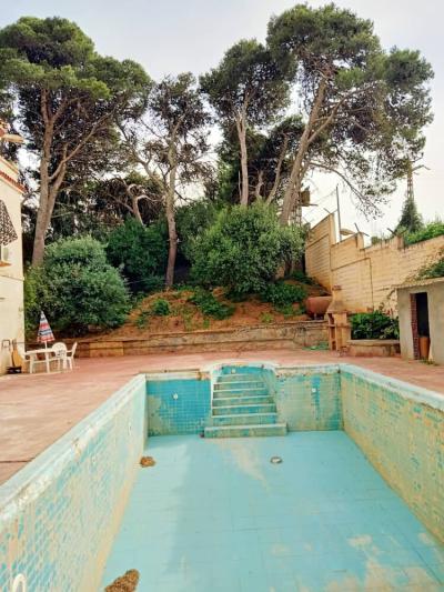 Vente Terrain Alger Rahmania