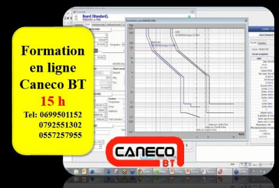 Formation en ligne Caneco BT
