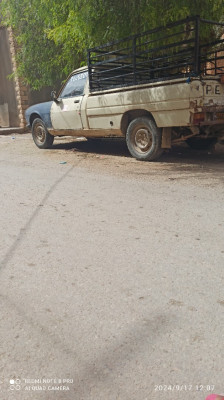 utilitaire-peugeot-504-1979-hennaya-tlemcen-algerie