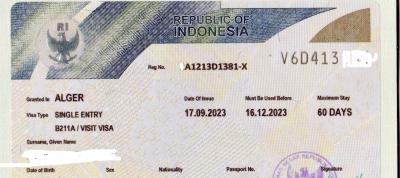 VISA indonesia Electronique 