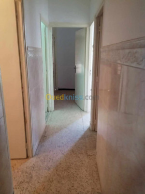 appartement-vente-f4-alger-centre-algerie