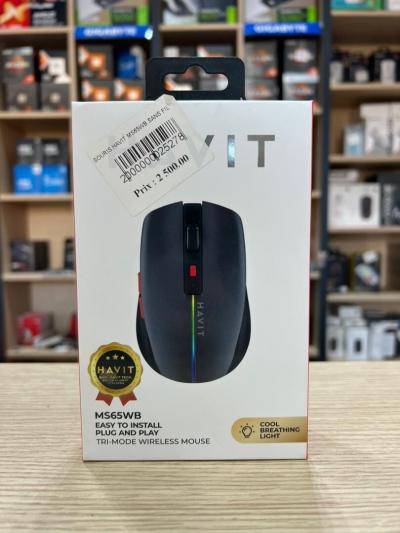 SOURIS HAVIT MS65WB SANS FIL