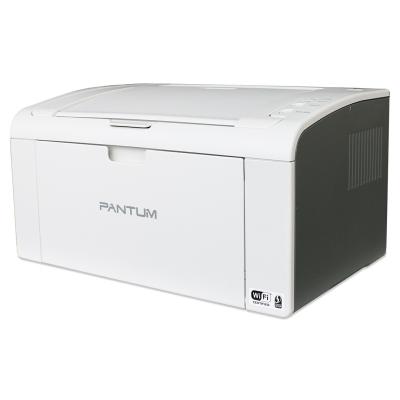 IMPRIMANTE Pantum P2509 Laser A4 Noir et Blanc 22PPM