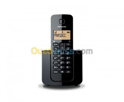 TELEPHONE PANASONIC KX-TGB10AF2