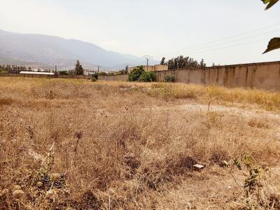 بيع أرض البليدة الصومعة