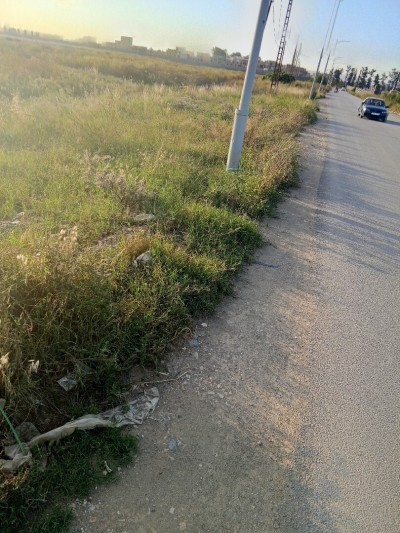 بيع أرض فلاحية البليدة العفرون