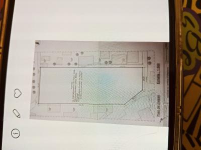 بيع أرض البليدة شبلي