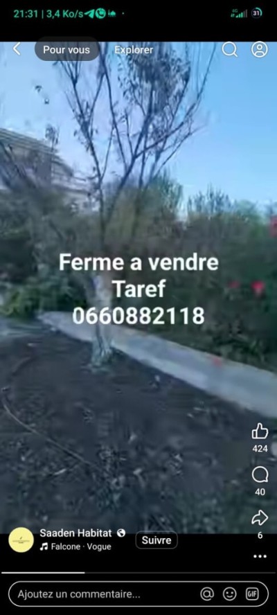 Sell Farmland El Tarf Bouteldja