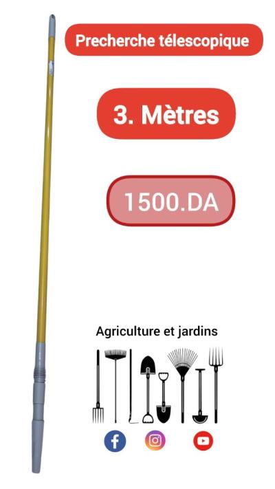 Perche télescopique 3m