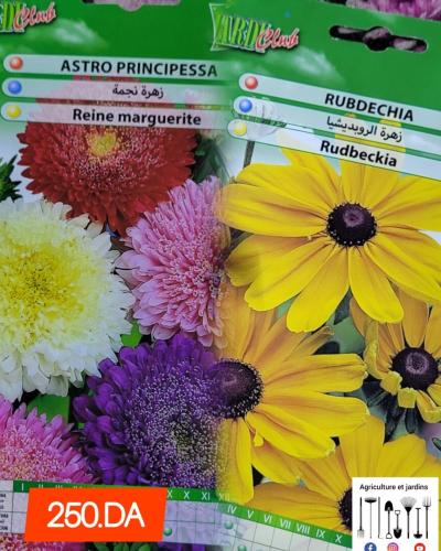 Semences fleurs (partie 1)