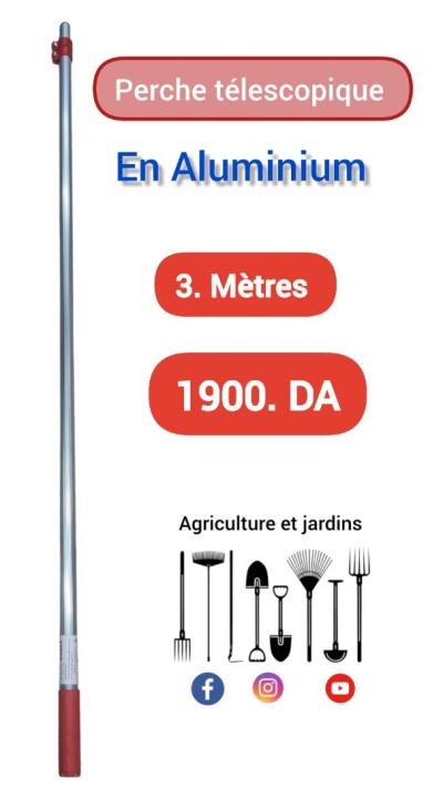 Perche télescopique Aluminium 3m