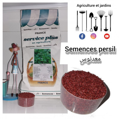 gardening-semences-persil-بذور-معدنوس-hussein-dey-algiers-algeria