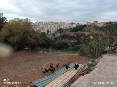 terrain-vente-alger-ain-naadja-algerie