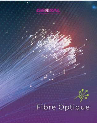 أمن-و-إنذار-fibre-optique-دار-البيضاء-الجزائر