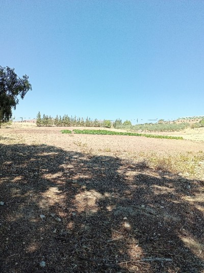 Vente Terrain Agricole Bordj Bou Arreridj El achir