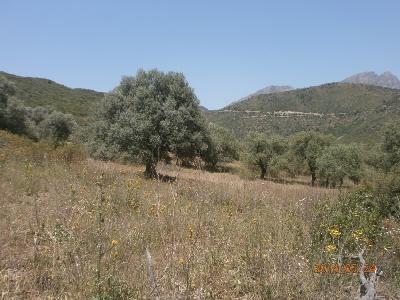 Sell Farmland Béjaïa El kseur