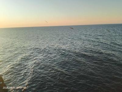 Sell Land Alger Ain benian