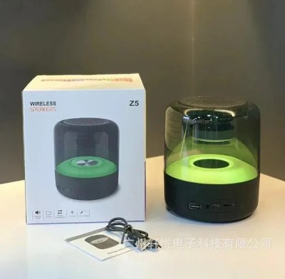 SPEAKER Z5-Y10