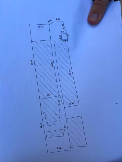 بيع أرض الجزائر الكاليتوس