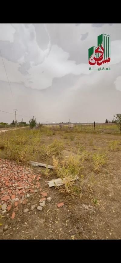 بيع أرض سطيف العلمة