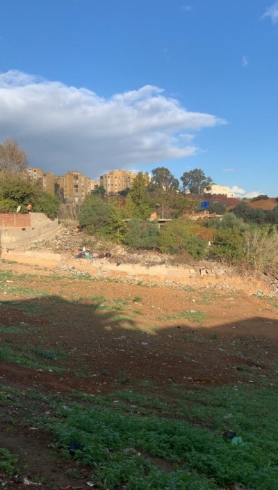 بيع أرض الجزائر باش جراح