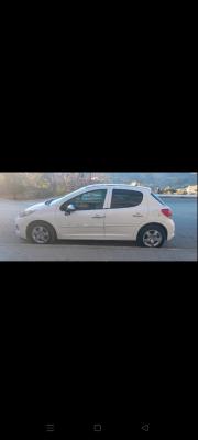 citadine-peugeot-207-2011-allure-bougaa-setif-algerie