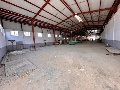 Location Hangar - Usine Blida Ouled el alleug