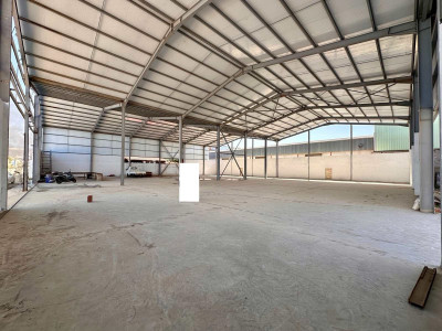 Rent Hangar Blida Beni tamou