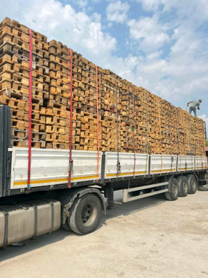 Humidimètres pour bois, béton, brique, carton/Humidimètre - سطيف الجزائر