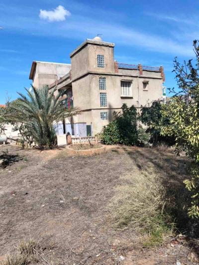 Vente Terrain Alger Draria