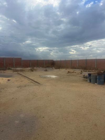 Vente Terrain Boumerdès Thenia