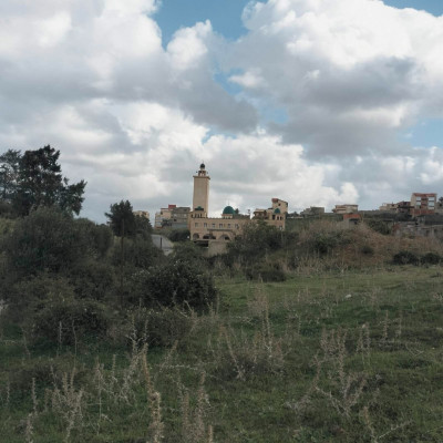 terrain-vente-boumerdes-zemmouri-algerie