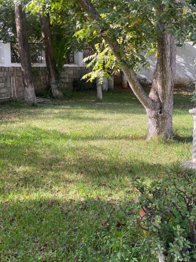 Rent Villa Alger El biar