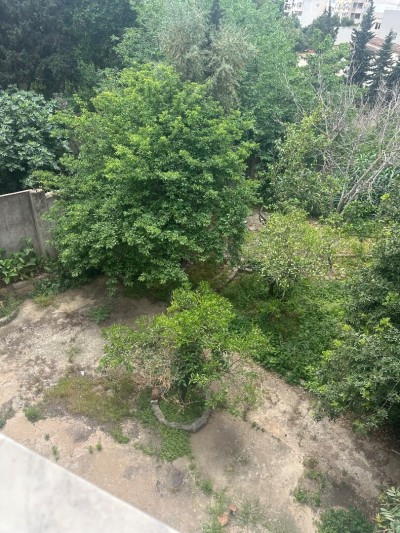 كراء فيلا الجزائر حيدرة