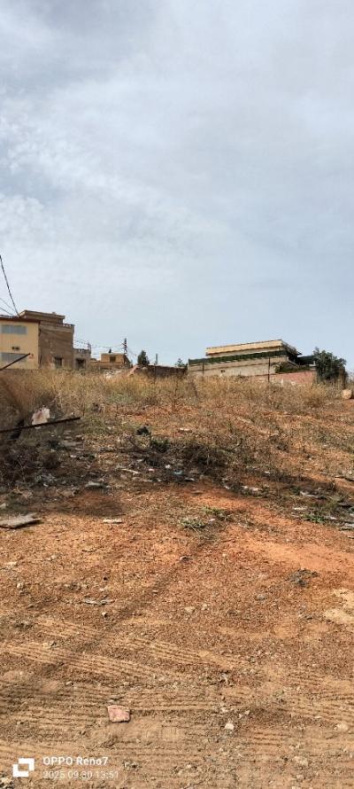Sell Land Alger Saoula