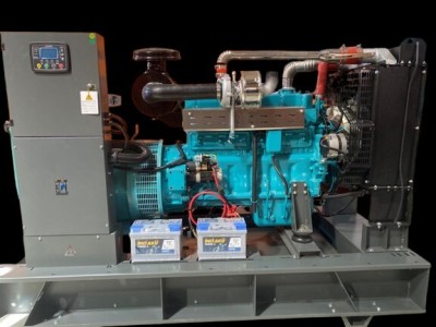 GROUPE ELECTROGENE 165 KVA RICARDO " REMISE -10% "