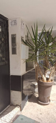 appartement-location-f4-alger-beni-messous-algerie