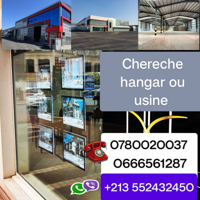 hangar-cherche-achat-alger-tessala-el-merdja-algerie