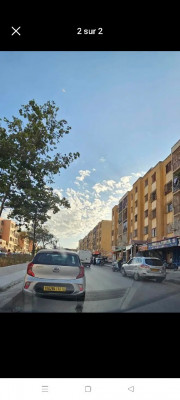 local-echange-tipaza-kolea-algerie