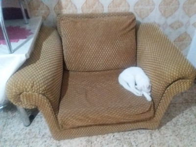 chairs-armchairs-blida-chaffa-chiffa-algeria