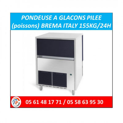 PONDEUSE A GLACONS PILEE (poissons) BREMA ITALY 155KG/24H