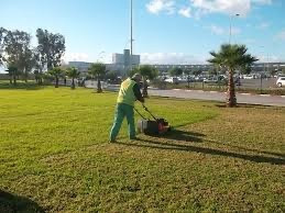 nettoyage-jardinage-موسسة-معالجة-المساحات-الخضراء-bab-ezzouar-alger-algerie