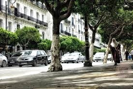 location-alger-centre-algerie