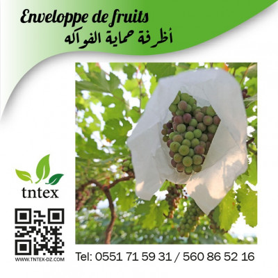زراعي-enveloppe-de-fruits-أظرفة-حماية-الفواكه-قجال-سطيف-الجزائر