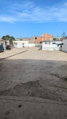 hangar-location-alger-rouiba-algerie