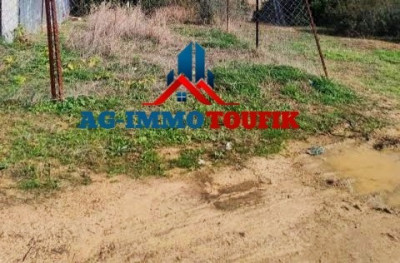 Sell Land Alger El achour